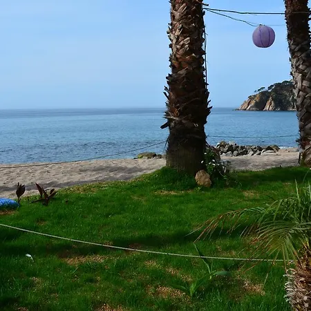 Cala Llevado, Piscina, Terraza ,aire Acondicionad Τόσα ντε Μαρ