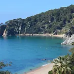 Precioso Apartamento Con Terraza Parking A/A Apartament *