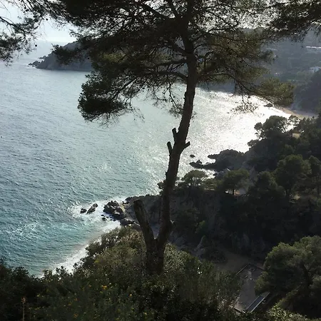 Appartement Cala Llevado, Piscina, Terraza ,aire Acondicionad *