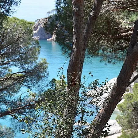 Cala Llevadó Five Piscina Terraza En Cala Llevadó Apartamento